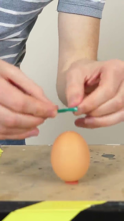 Making an Homunculus (DO NOT TRY)