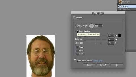 Photoshop Elements 9: Layer Effects