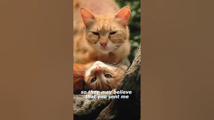 Jesus Prays: A Moment That Changed Everything! 🙏 #fyp #god #bible #love #foryou #youtubeshorts