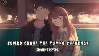 Tumko_chaha_tha_tumko_chahenga (slowed & reverb)song | Alka yagni/kumar sanu | old song 2006.. Resimi