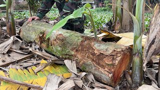 Let's Watch The Genius Boy Create A Coffee Table From A Rotten Tree Trunk That Everyone Threw Away