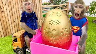 Bim Bim Cleverly Opened The Golden Egg To Rescue The Duckling With Baby Monkey Obi