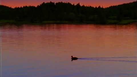 Let’s Play School Credits Comparison (Screener vs. Final Version) (V2) (1999 Version) FINAL PART!!