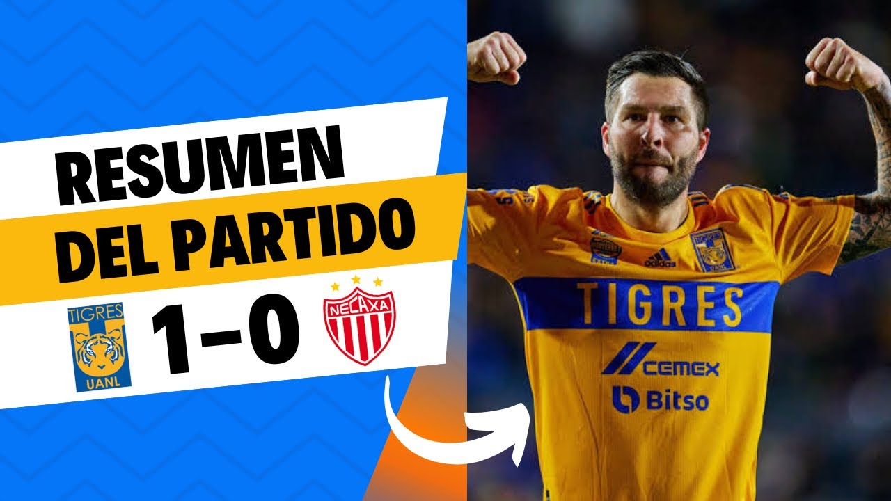 Resumen Liga MX Tigres 1 Necaxa 0 Apertura 2024 - YouTube