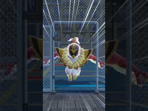 止まらないメガルチャブル（実写）　 #ポケモン