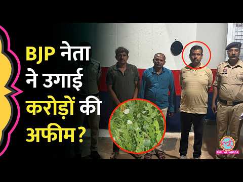 Chhattisgarh के Durg में Opium की अवैध खेती का खुलासा, किस BJP नेता पर आरोप लगे?