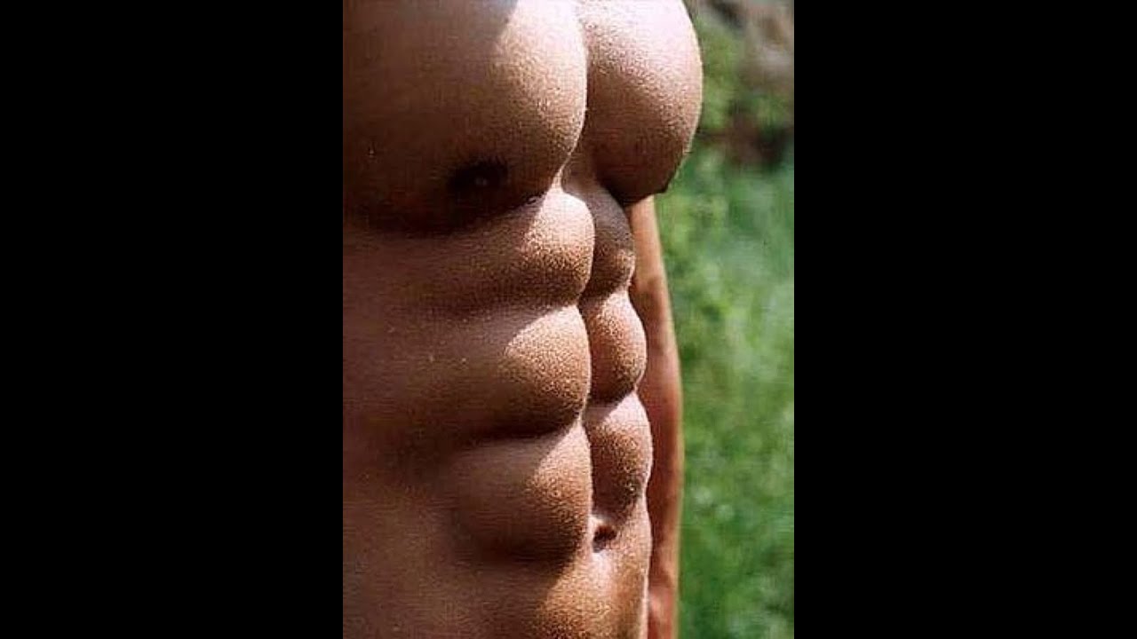 belly fat diet for dummies Get Six-pack Abs by Eating More Saturated Fat?
