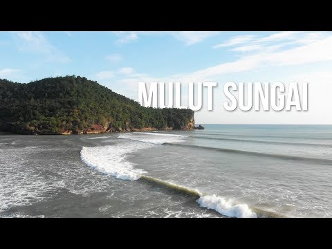 Video: Mulut sungai