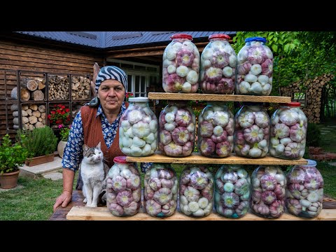 Video: Kruidnagel oogsten om te koken - wanneer kruidnagel plukken in de tuin