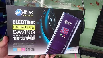 Cây sưởi ấm hồ cá loại cao cấp