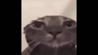 :| #:|