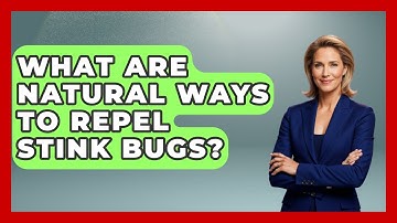 What Are Natural Ways To Repel Stink Bugs? - Insects and Invaders