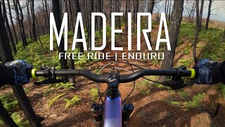 MADEIRA | CANNONDALE JEKYLL | FREE RIDE/ENDURO DREAM