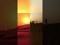 Breathtaking Desert Sunsets &amp; Camel Caravans: Nature's Masterpiece! #shorts