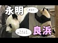 「ちょっとあなた居る？」良浜