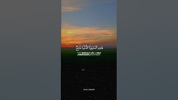 أكتب شيء تؤجر عليه #اكسبلور #تلاوة_خاشعة #لايك #قرآن #حالات_واتس #المنشاوي #محمد_اللحيدان #like #fyp