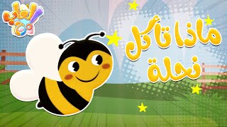 وقت اللعب - طعام الحيوانات | قناة العاب مرح screenshot 4