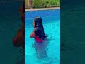 वीडियो सॉन्ग #waterslide दोस्तों से मैं फूल का नहाए वीडियो अच्छा लगे तो लाइक कमेंट शेयर कीजिएग🥰🥰🥰