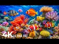 DREAM AQUARIUM 4K - Marine Life, Sea Animals and Coral Reef - Fish Tank Sounds for Deep Sleep #10