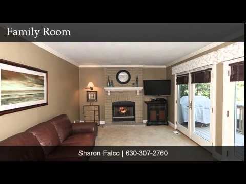 336 WILDBERRY LANE, Bartlett, IL home video tour