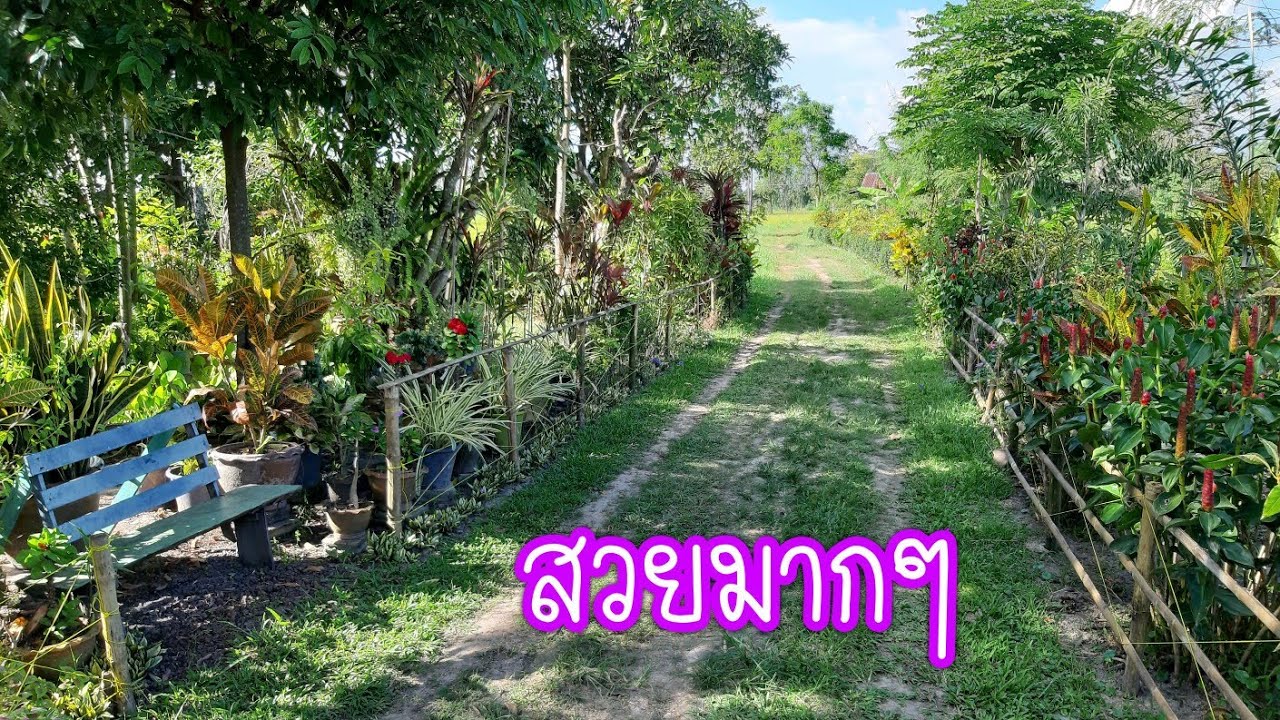 สวนผสมในฝัน!!เหมือนเจอสวรรค์บนดิน..สวยมากๆ