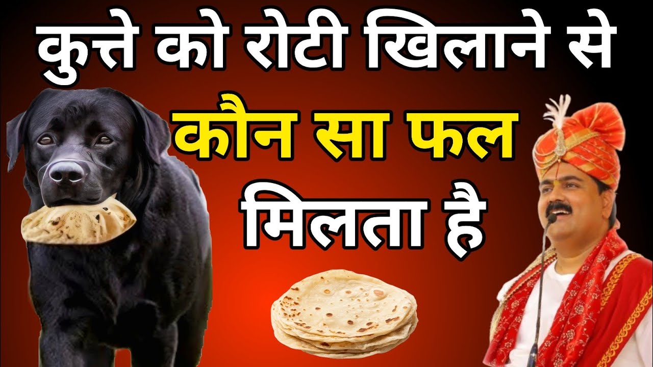 कुत्ते को रोटी देने के 8 अद्भुत फ़ायदे… जो जीवन बदल देते हैं | Rajan Ji Maharaj #Rajan Ji Maharaj