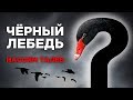 Кто такие "черные лебеди"? Нассим Талеб - философия и цитаты