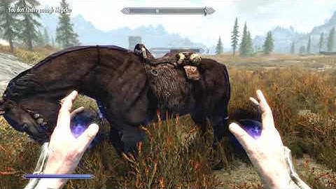 Skyrim ~ How To Level Up To 100 In Conjuration Very Fast
