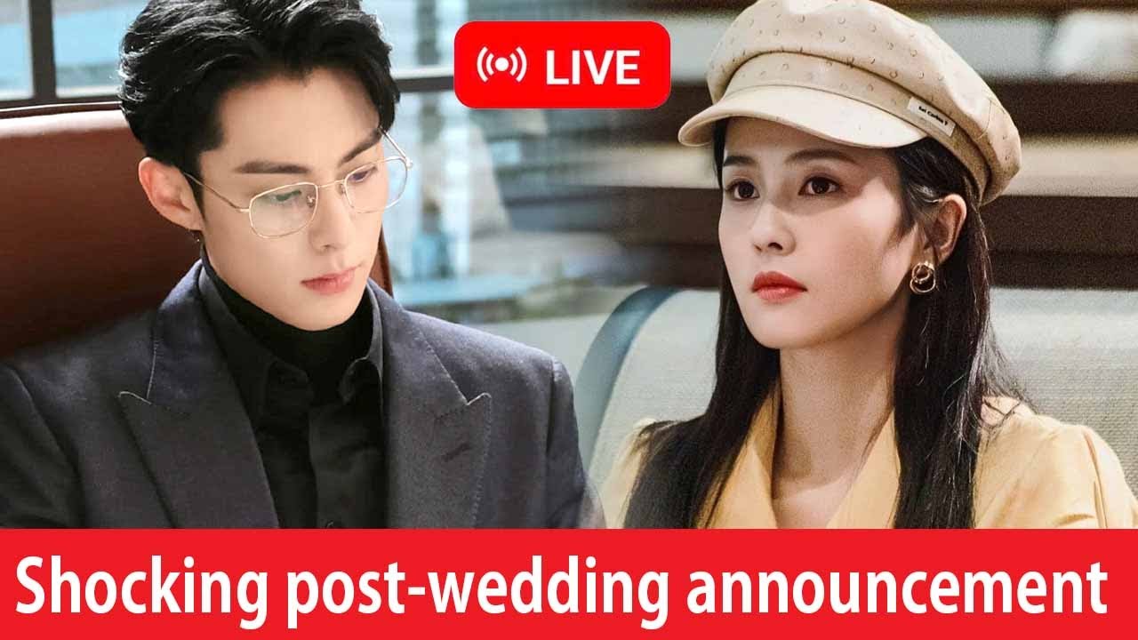 Менее чем через месяц после свадьбы Дилан Ван и Бай Лу шокировали поклонников на пресс-конференции.