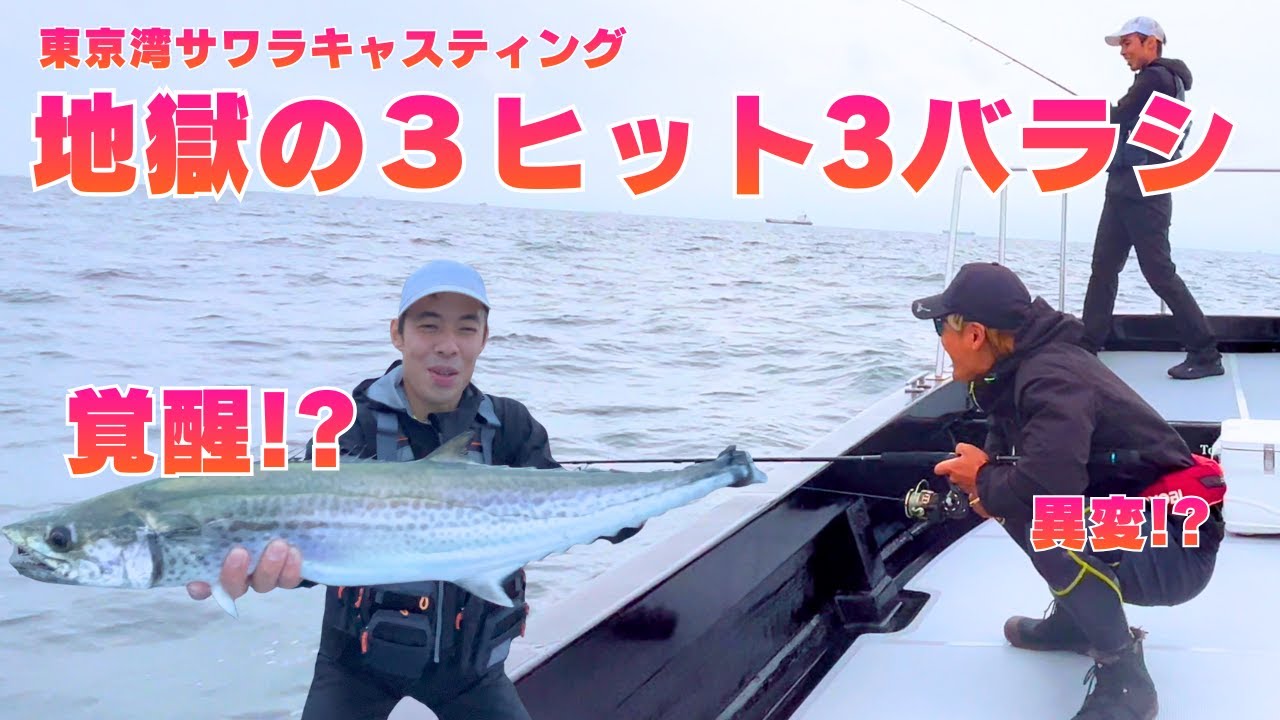 【珍事】絶好調の東京湾サワラボートでまさかの全バラシ…船長ゴメンナサイ