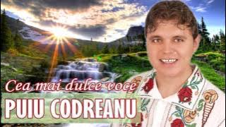 PUIU CODREANU COLAJ MUZICA POPULARA