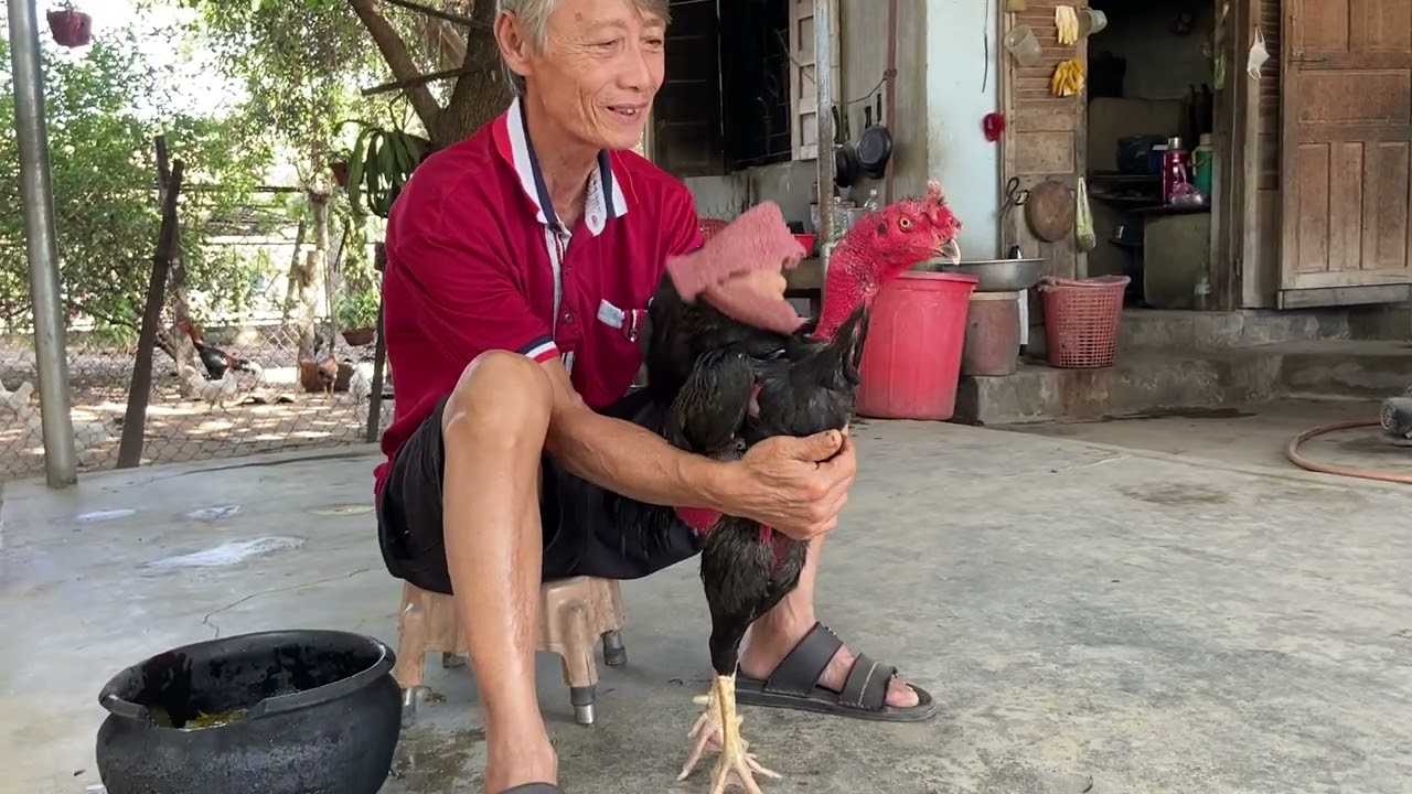 Ngày 06/02/2026.ai chơi TẾT alo em nha..