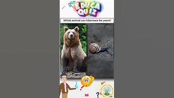 Did You Know Some Animals Can Sleep for Years? Fun Animal Facts for Kids #quiz @educakidsbrasil