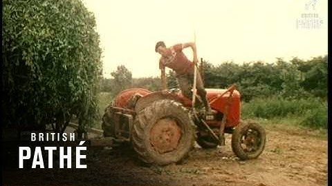 Farm Automation (1957)