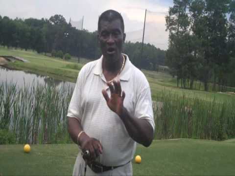 Golf with Tiger Woods ? for Fun & Profit