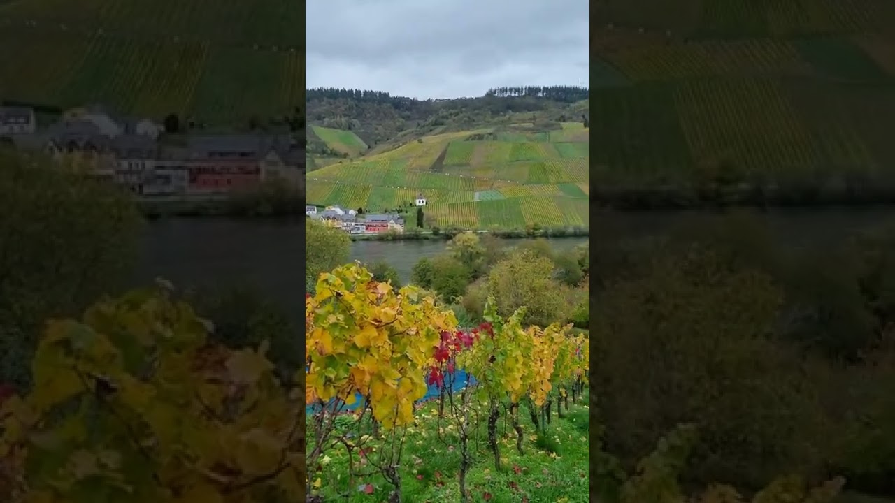 Der KRÖVER NACKTARSCH ist bunt.