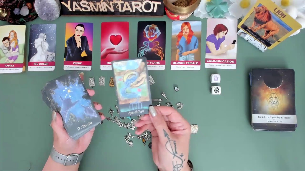 💰 مسیر مالیت به کجا میره؟