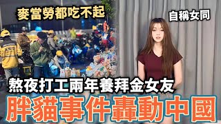 胖貓事件轟動中國熬夜打工兩年賺227萬只為了供養女友連麥當勞都吃不起中國網民買餐點悼念不料重慶商家卻集體給空袋