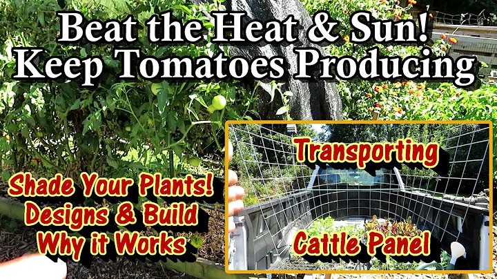 Keep Tomato Plants Producing All Year Long by Usin...