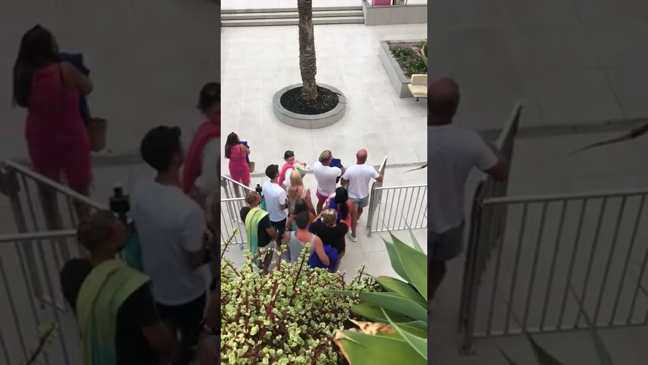 Another Day, Another Rush for the Sunbeds || ViralHog