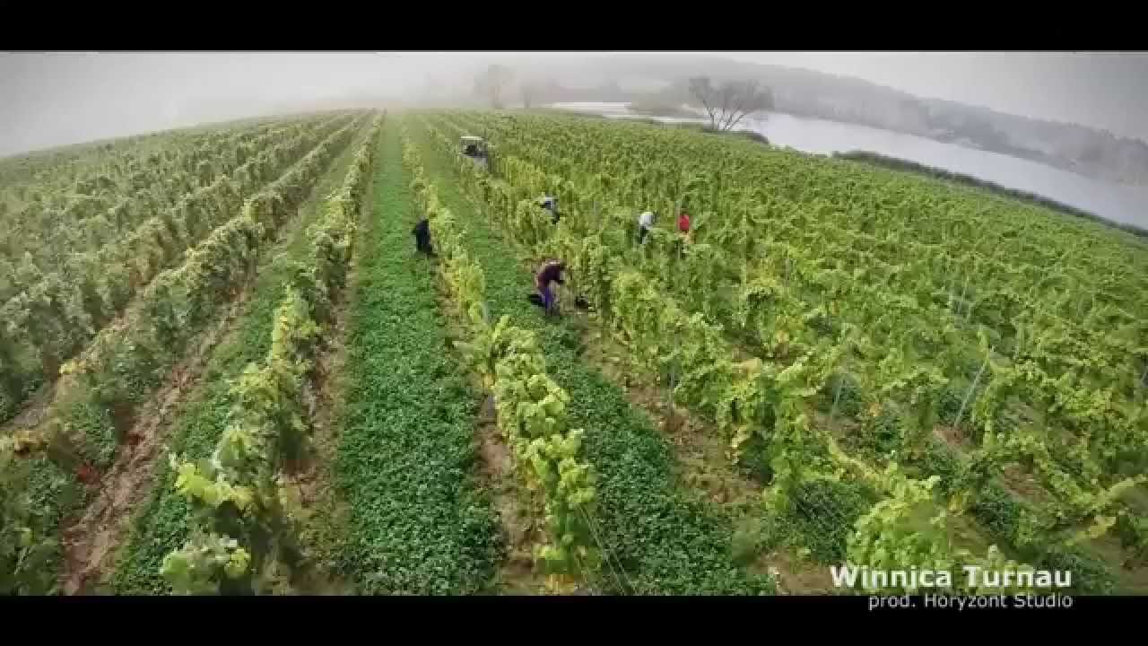 Winnica Turnau - relacja z otwarcia