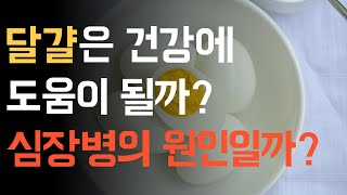 달걀 | 달걀은 건강에 도움이 될까 아니면 심장병의 원인이 될까? | 건강쓰