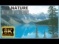 The breathtaking beauty of nature 8k