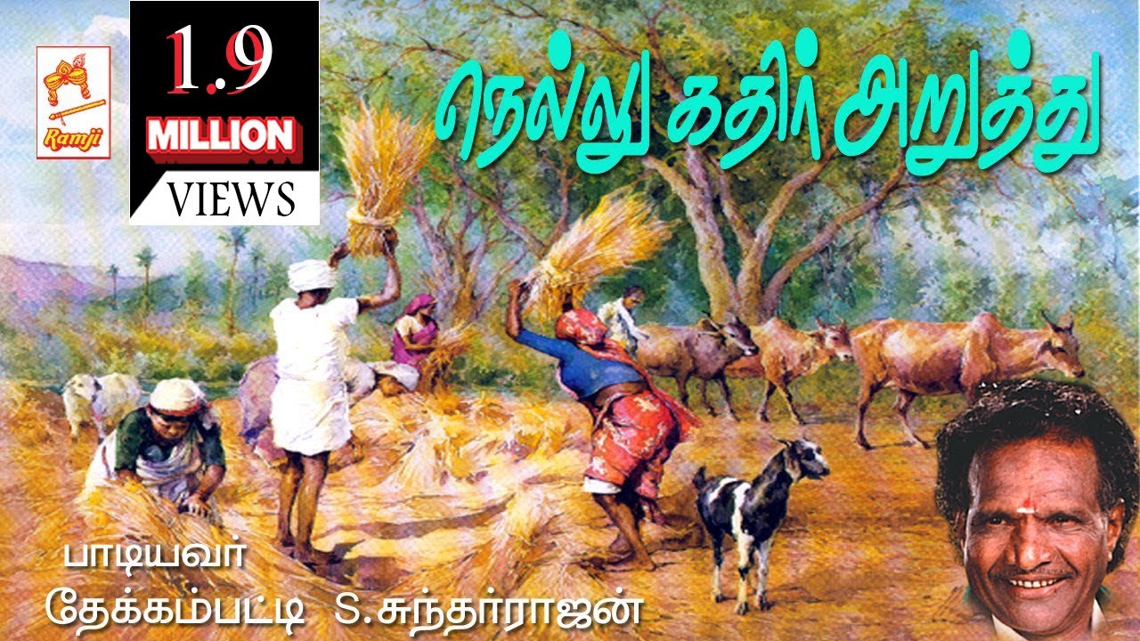 தேக்கம்பட்டி சுந்தர்ராஜன் பாடிய நாட்டுப்புற பாடல் நெல்லு கதிரறுத்து Nellu Kathiraruthu