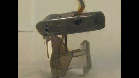 BigGAN-512 Dream Sequence