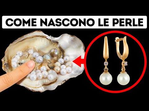 Video: Quali ostriche producono perle?