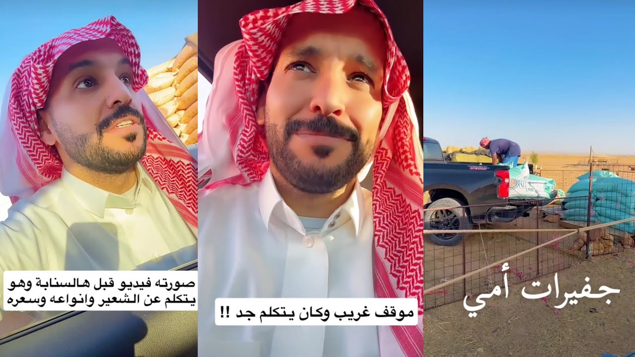 حمدي الفريدي صور بائع شعير وهدده يرفع عليه قضية !!