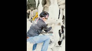 วัดย่อเหนือ อ.คำเขื่อนแก้ว จ.ยโสธร วัดย่อเหนือ อ.คำเขื่อนแก้ว จ.ยโสธร