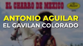 Versión 3 del video