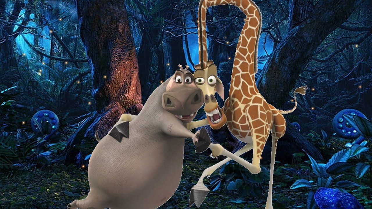 Melman Et Gloria Vont Sortir La Jungle Madagascar 8 Youtube 